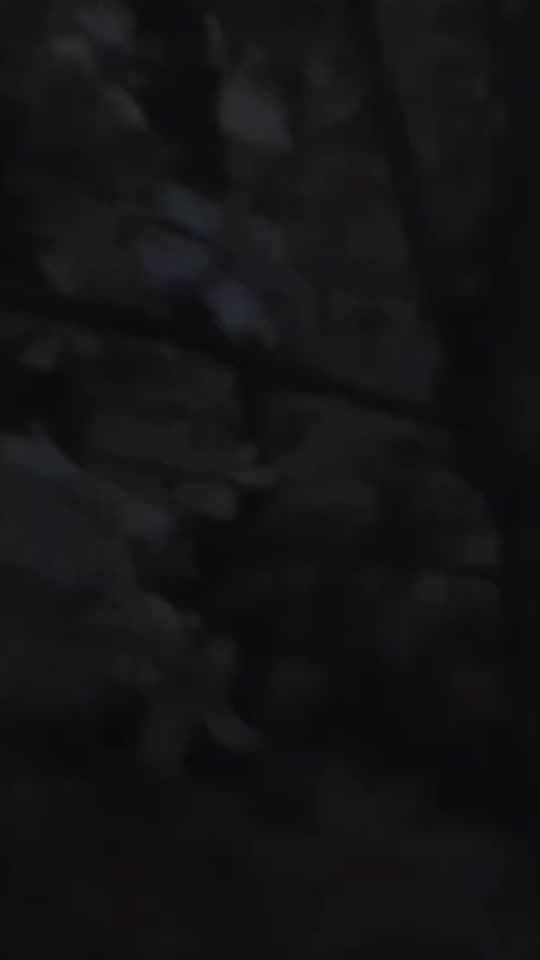 TikTok video thumbnail by ylli_hasani1