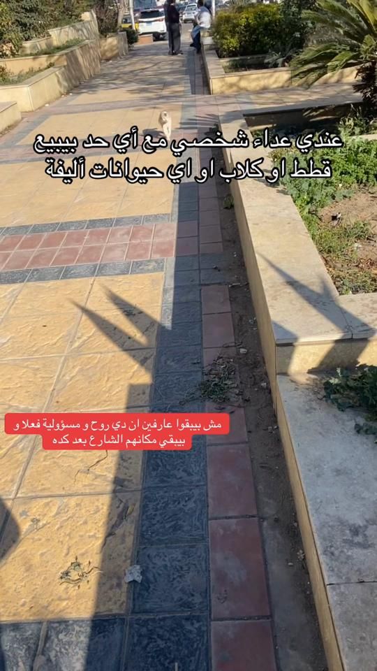 TikTok video thumbnail by haneenamer901