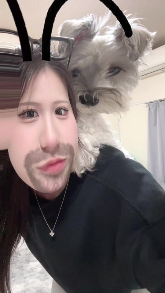 TikTok video thumbnail by __03ll__6