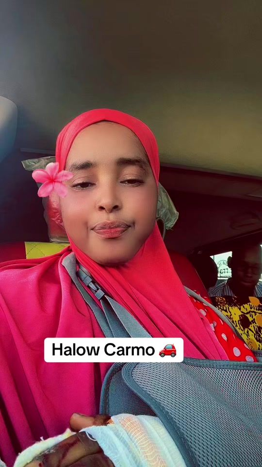 TikTok video thumbnail by gooshacalmiskeed