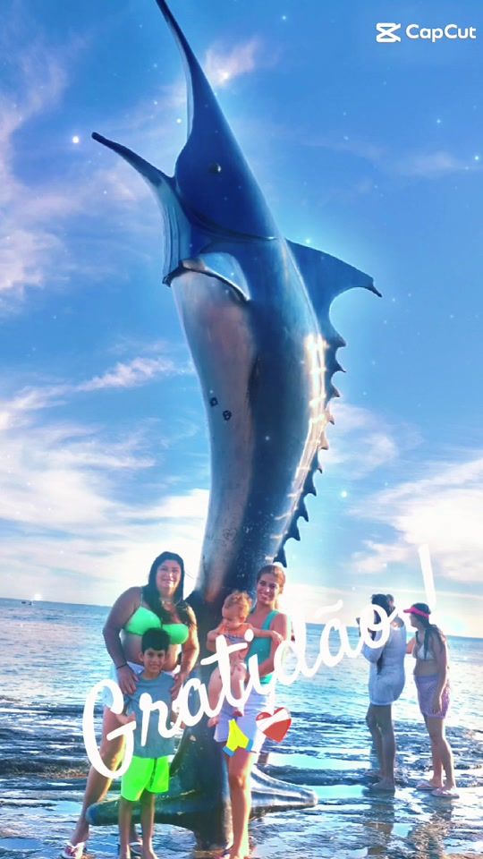 TikTok video thumbnail by andreiaroque212