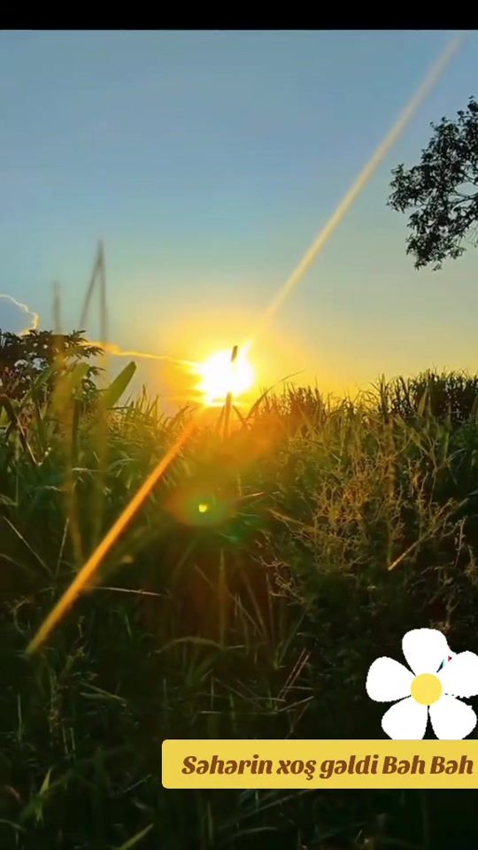 TikTok video thumbnail by sevda18740
