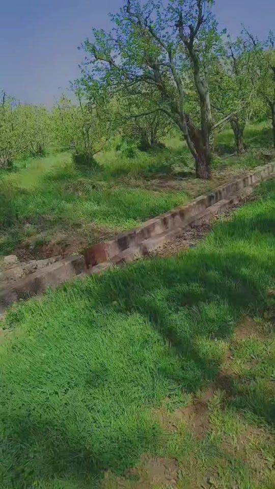 TikTok video thumbnail by user6598410635036