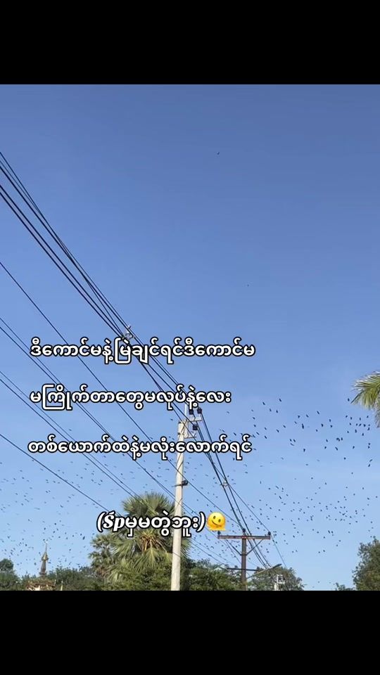 TikTok video thumbnail by phoo.phoo4321