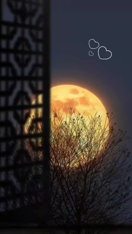 TikTok video thumbnail by ...nino11