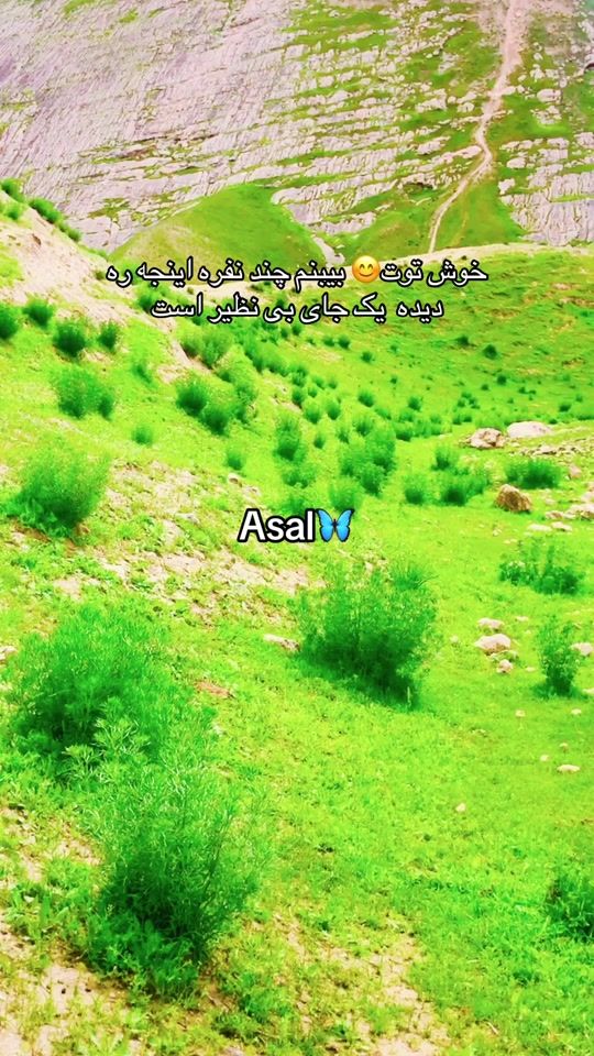 TikTok video thumbnail by asal94294