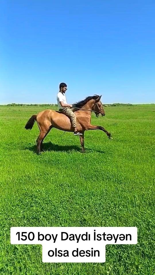 TikTok video thumbnail by tebieti_seven