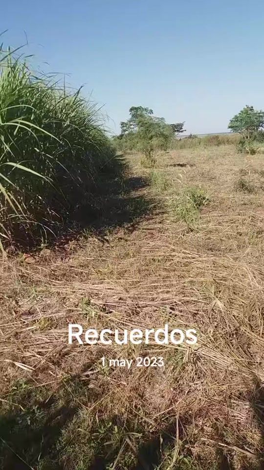 TikTok video thumbnail by hugo.ramn.bentez.g