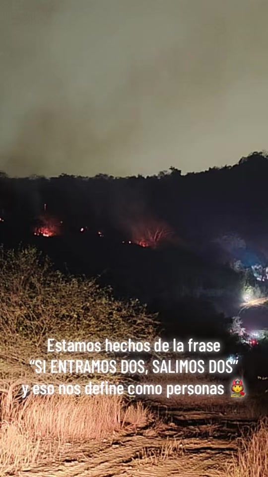 TikTok video thumbnail by division.forestal.bcbd