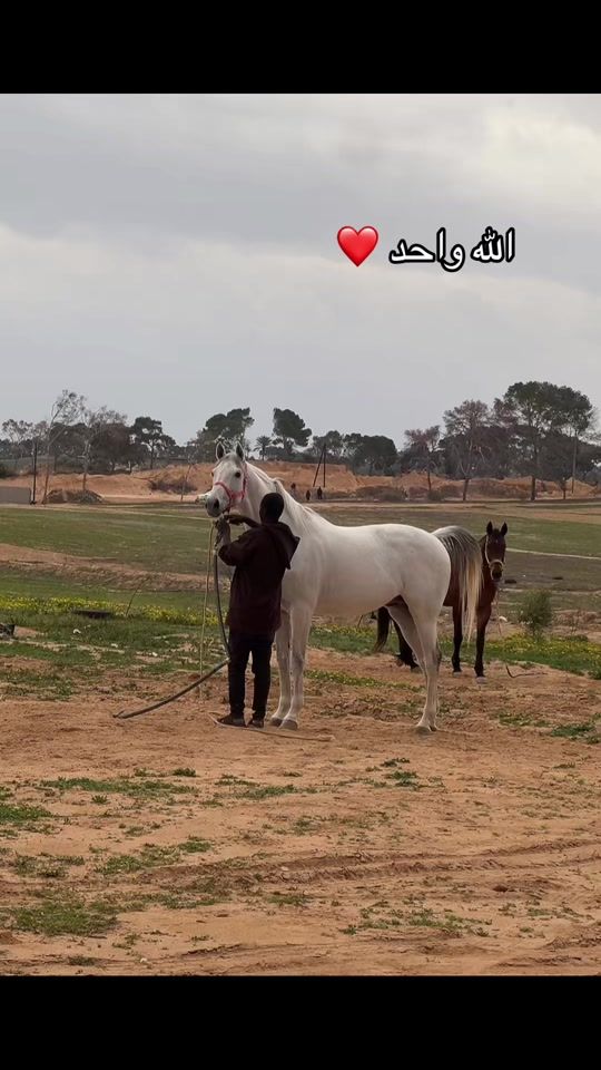 TikTok video thumbnail by ali35altohame