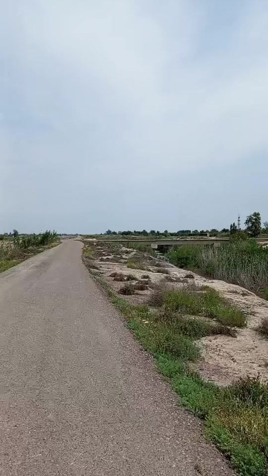TikTok video thumbnail by em.ss21