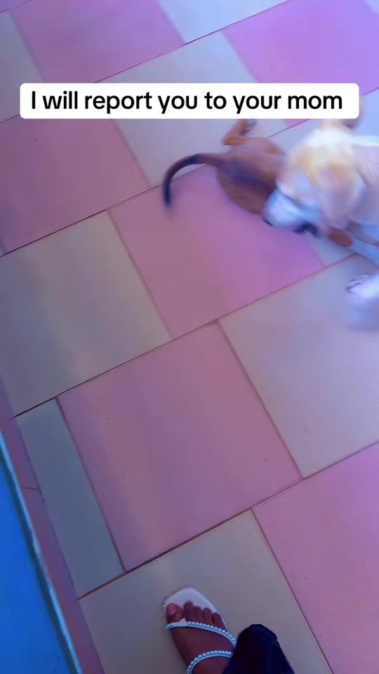 TikTok video thumbnail by okesie...1