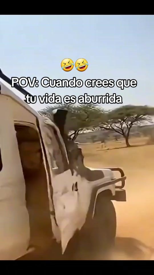 TikTok video thumbnail by oscar_pg6