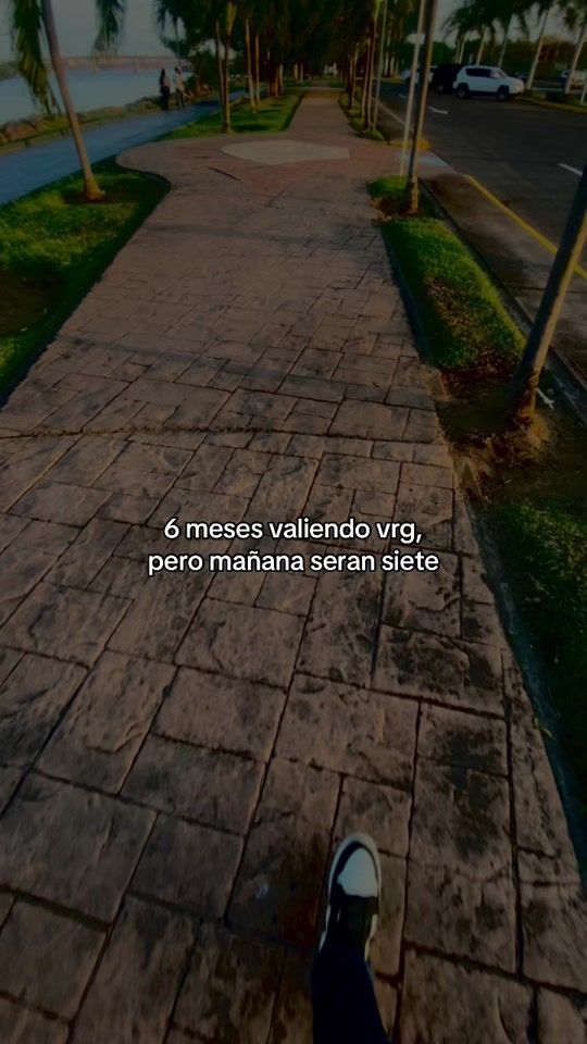 TikTok video thumbnail by julio.alvrz