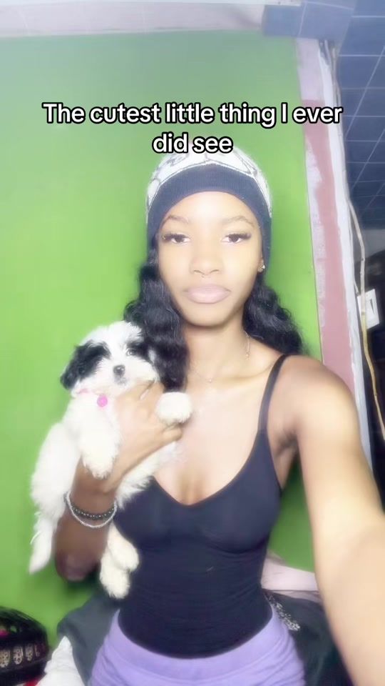 TikTok video thumbnail by ashhe_music