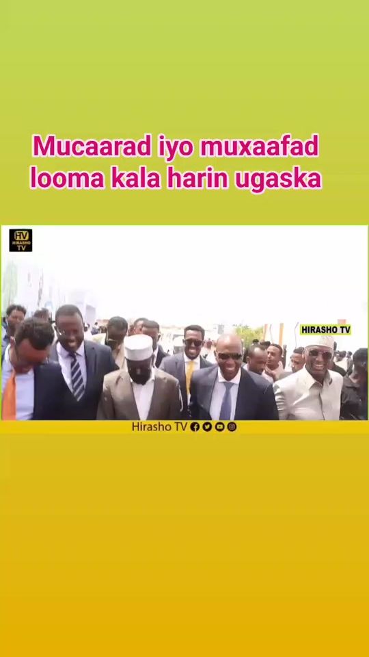TikTok video thumbnail by murusadetv