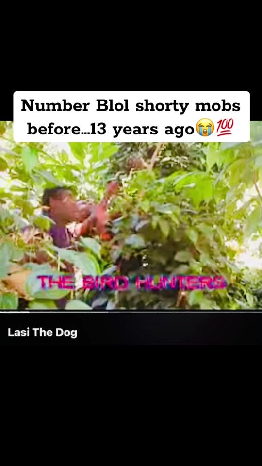TikTok video thumbnail by dear.baby.lee
