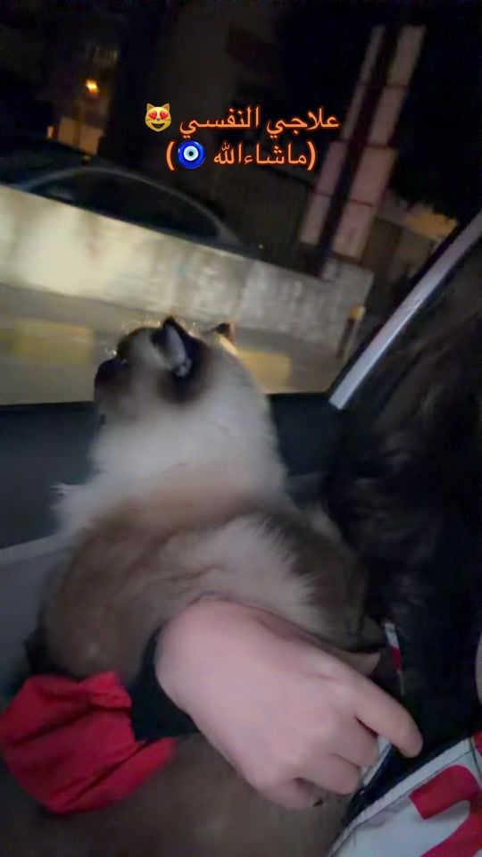TikTok video thumbnail by _1kato