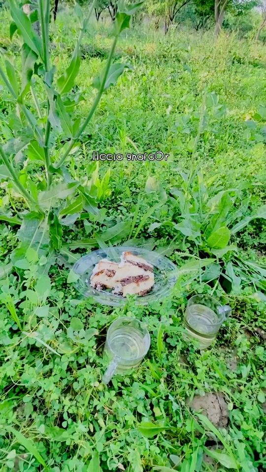 TikTok video thumbnail by gh4foori_