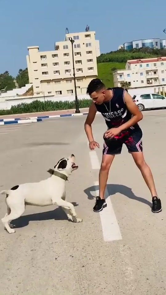 TikTok video thumbnail by di.g57