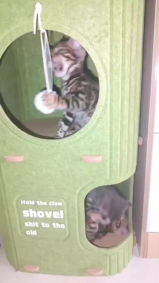 TikTok video thumbnail by badcatsupper