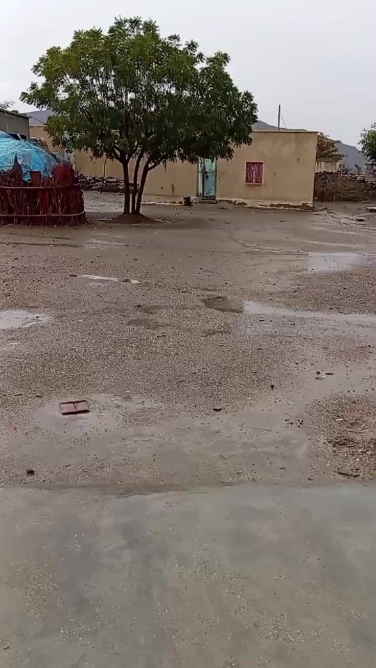 TikTok video thumbnail by nzamjan6