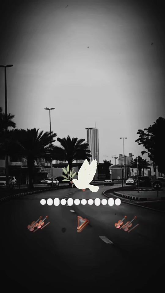 TikTok video thumbnail by ali.omar1234