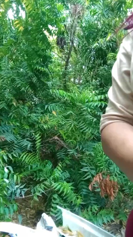 TikTok video thumbnail by adonaidasprott