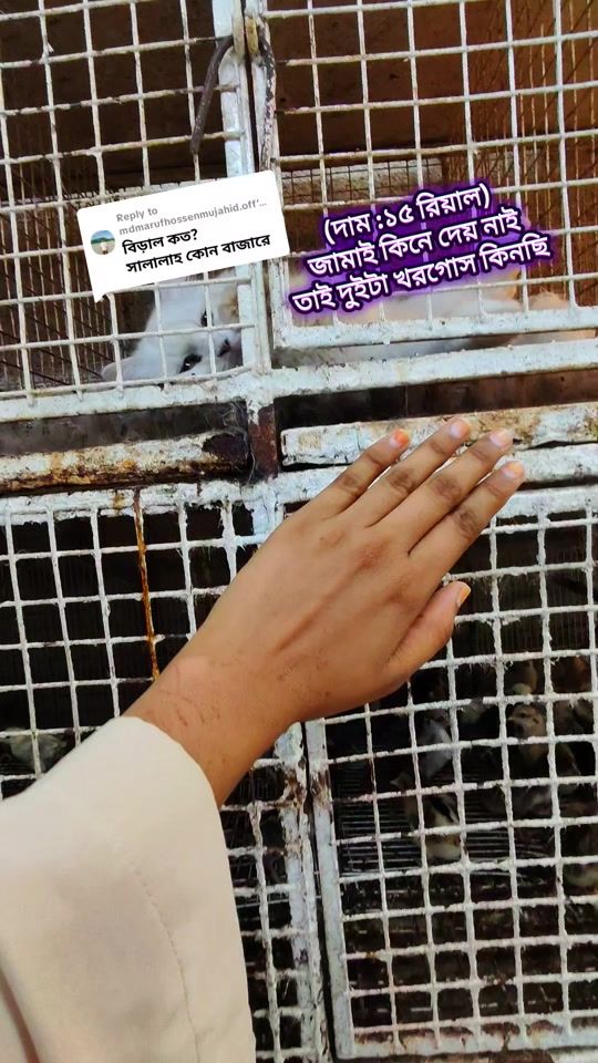 TikTok video thumbnail by tarin_chowdhury018