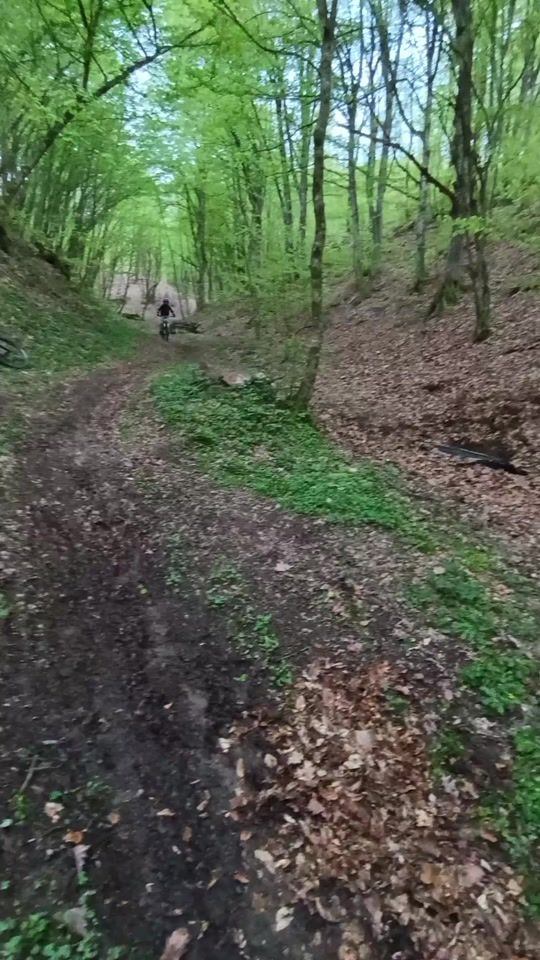 TikTok video thumbnail by ammar_freerider0