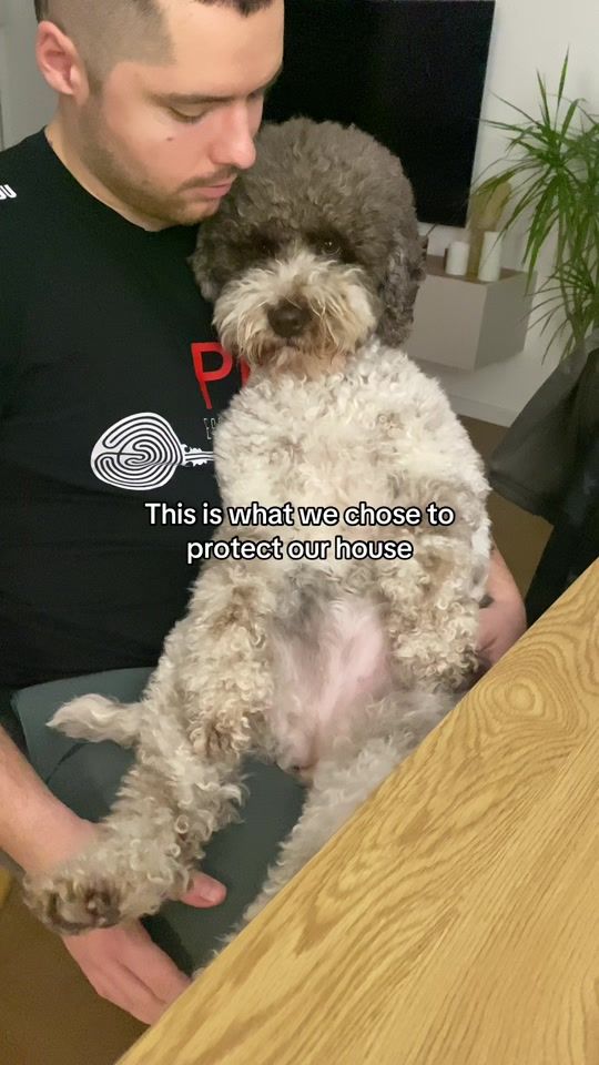 TikTok video thumbnail by frida_kokica