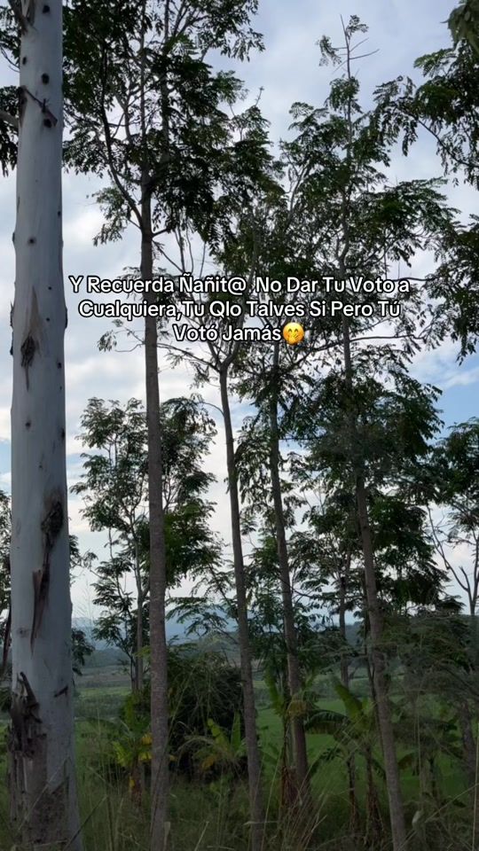 TikTok video thumbnail by lagaray5