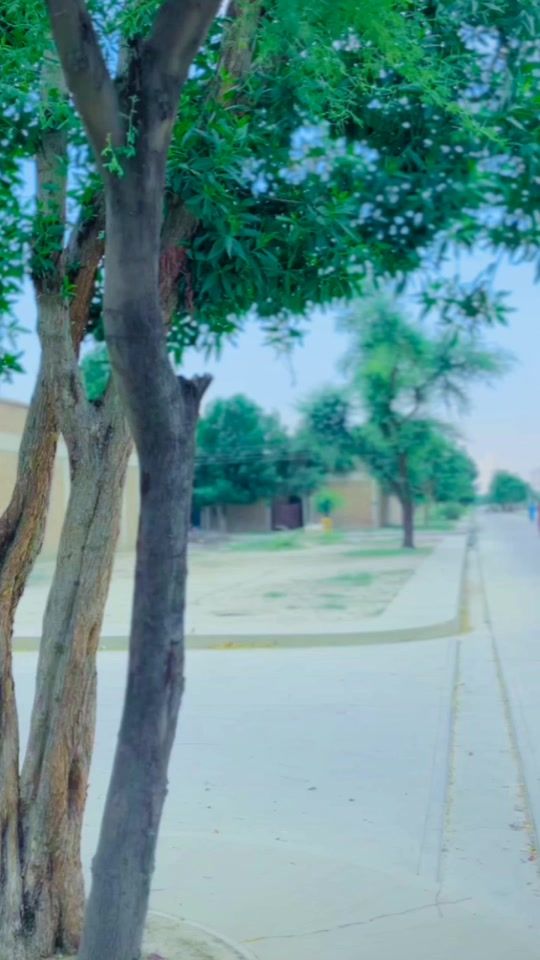 TikTok video thumbnail by shakeelkhan0944