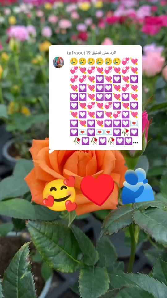 TikTok video thumbnail by khadija9021rradi