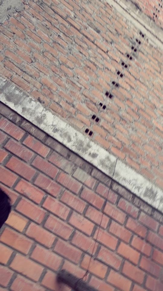 TikTok video thumbnail by tomm.21.06