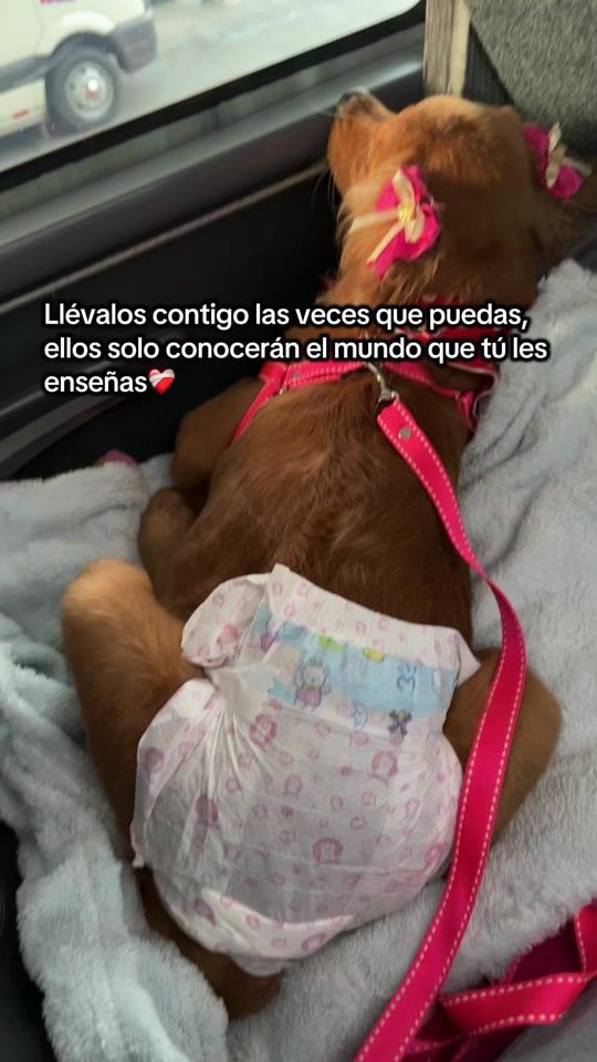 TikTok video thumbnail by miagolden_16