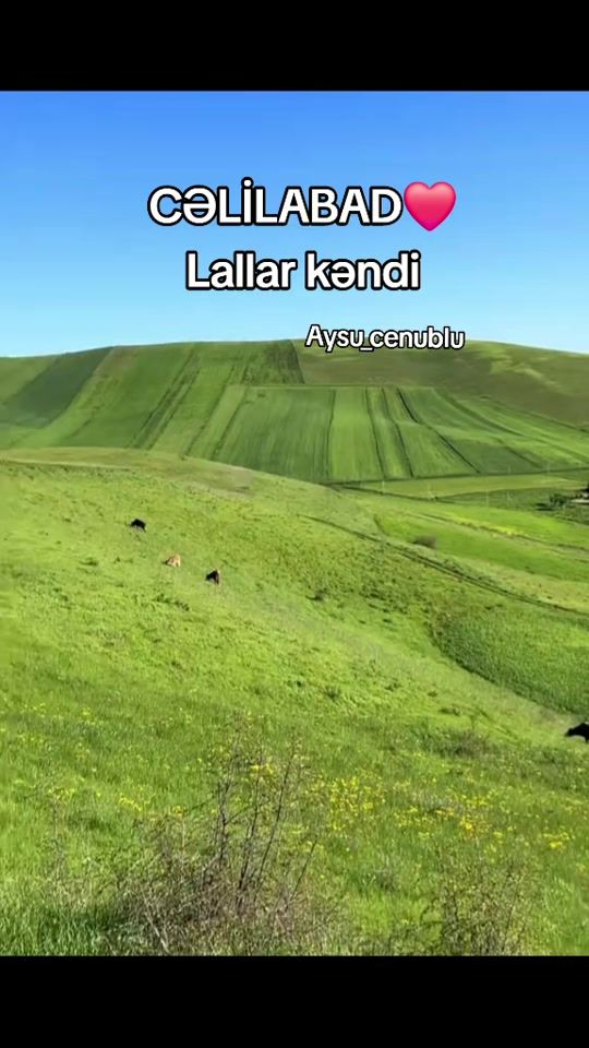 TikTok video thumbnail by aysu_cenublu