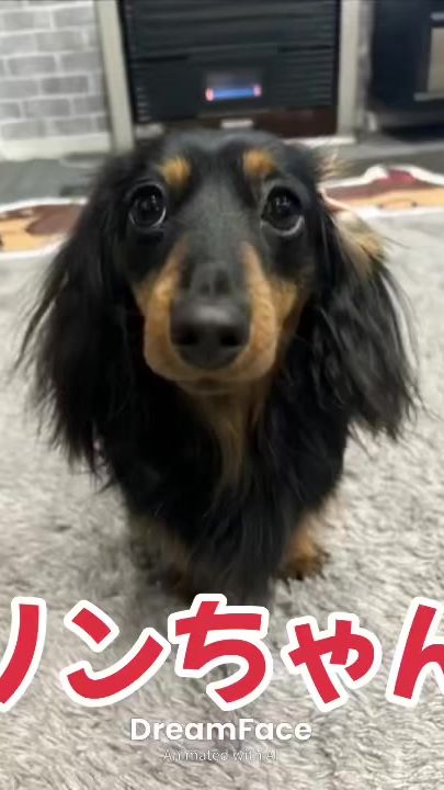 TikTok video thumbnail by mocharinmama
