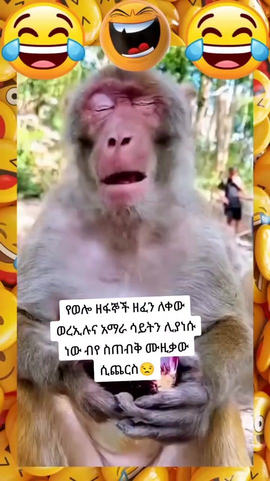 TikTok video thumbnail by user5118wolloamhara