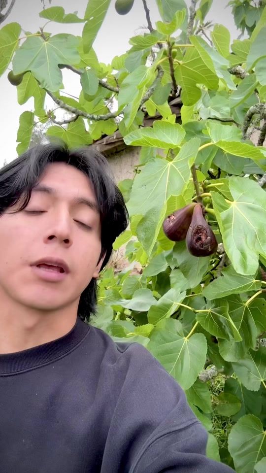 TikTok video thumbnail by sayani_171