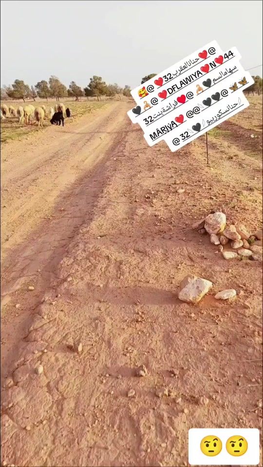 TikTok video thumbnail by .3203537