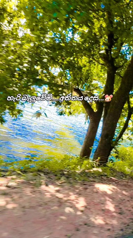 TikTok video thumbnail by ruwaninethu