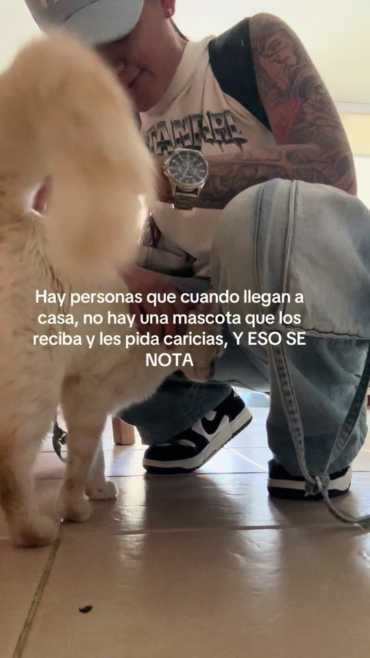 TikTok video thumbnail by m.orozco_23