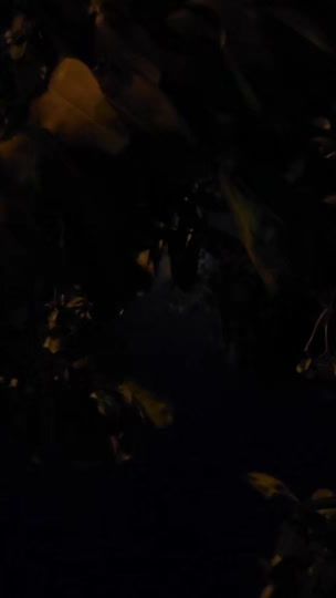TikTok video thumbnail by mohamed_soliman1237
