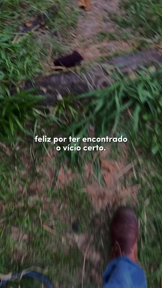 TikTok video thumbnail by pecinha45