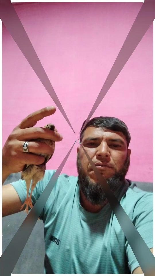 TikTok video thumbnail by user3794599332857