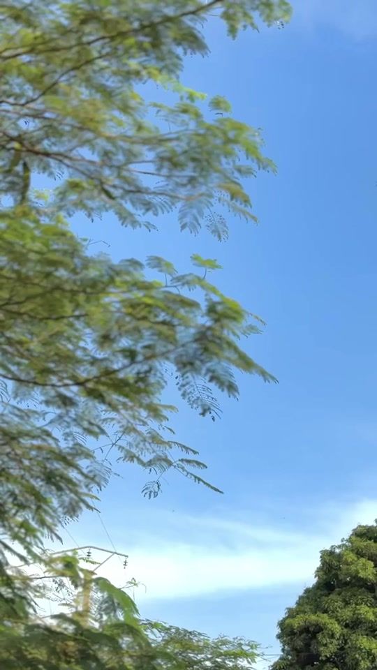 TikTok video thumbnail by le.duc132