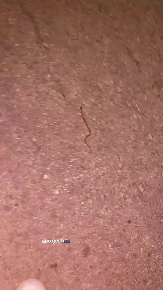 TikTok video thumbnail by geith202000