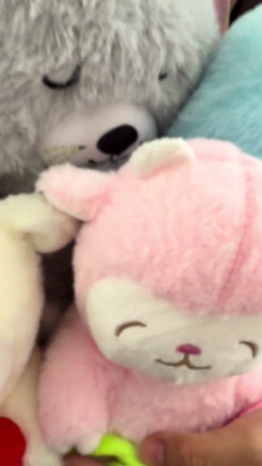 TikTok video thumbnail by paltishop_pe