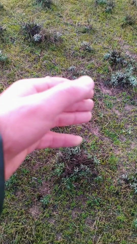 TikTok video thumbnail by xaspolad_056